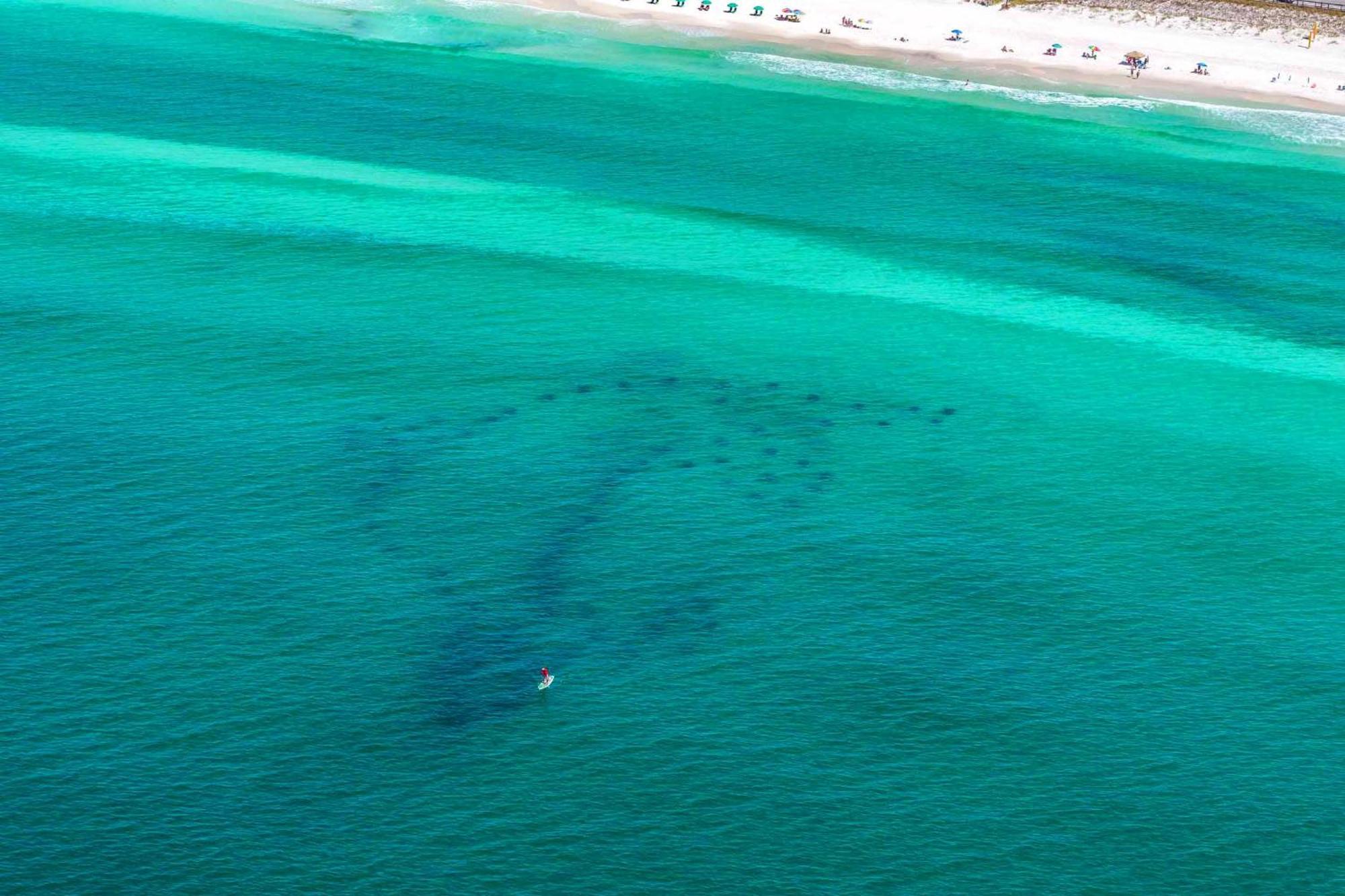 Ariel Dunes I 2207 Destin Exteriör bild